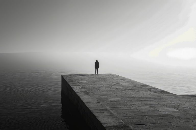 Solitude DSI - isolement du directeur des systèmes d’information
