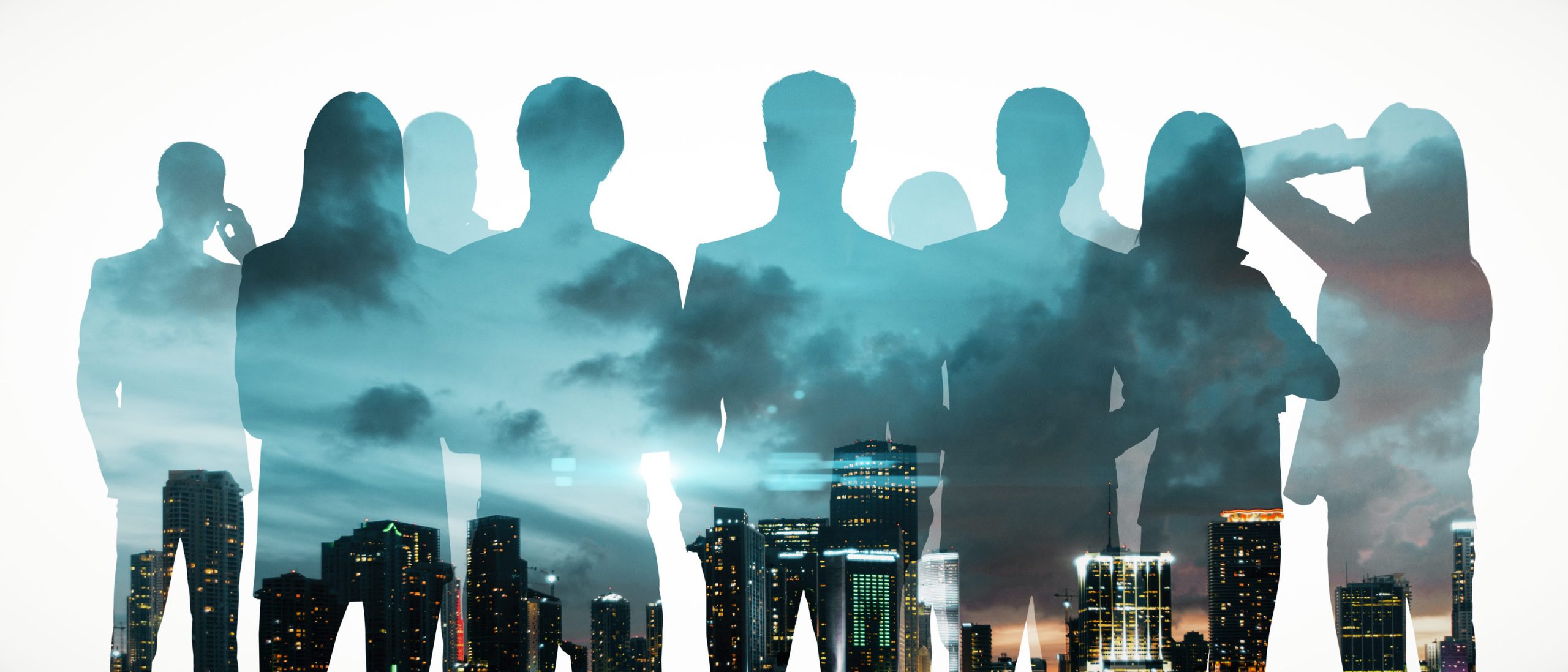 expertises management de transition IT